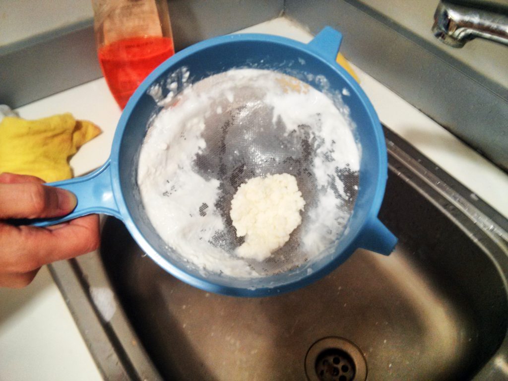 Kefir Taneleri Nasıl Saklanır Kefir Taneleri Nasıl Saklanır